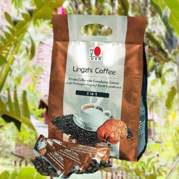 LINGZHI COFFEE 3 EN 1