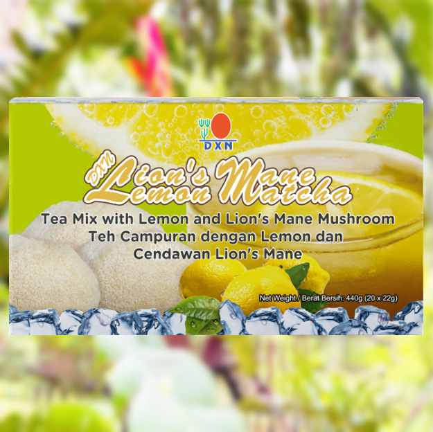 LION'S MANE LEMON MATCHA