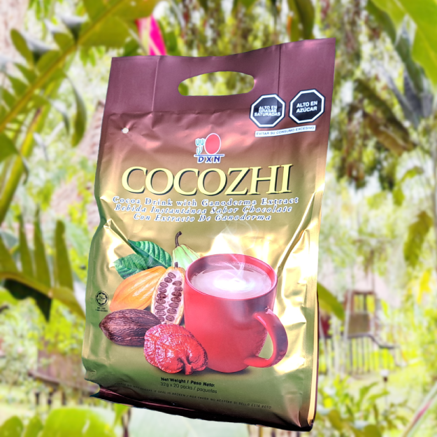 COCOZHI