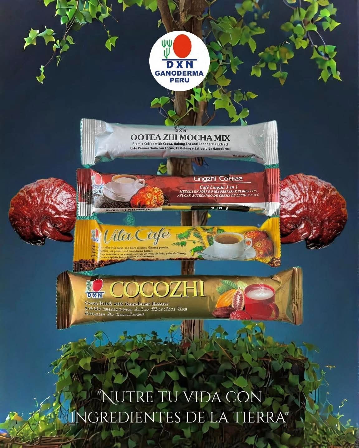 Image Sachet